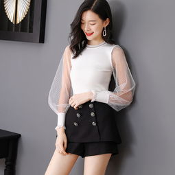 洋湖軒榭2019精品毛衫時尚新款女裝圓領(lǐng)透視燈籠袖修身顯瘦針織打底衫圖片大全 郵樂官方網(wǎng)站